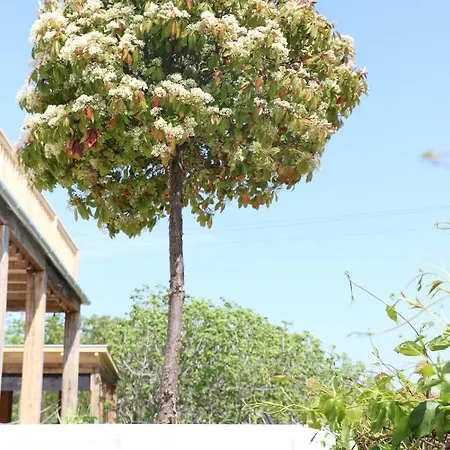 Steiner Badacsony Holiday home Badacsonytomaj