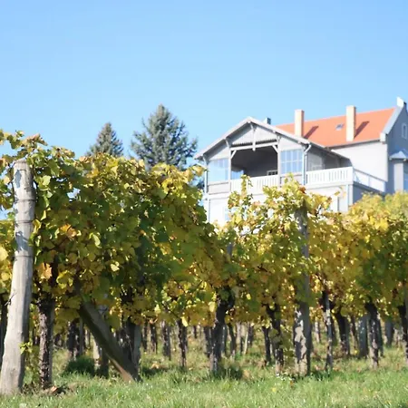 Steiner Badacsony Holiday home *