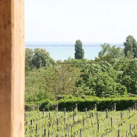 Steiner Badacsony Holiday home